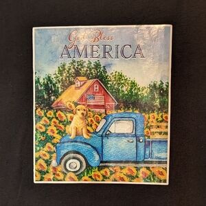 God Bless America Dog Tee Shirt  Size Large